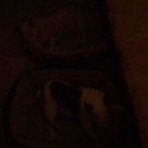 Meet your Posher, Martha